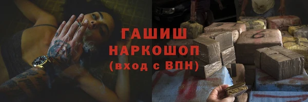 дмт Мегион