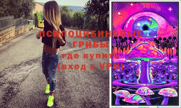 дмт Мегион