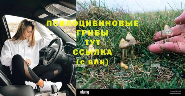 мяу мяу мука Медногорск